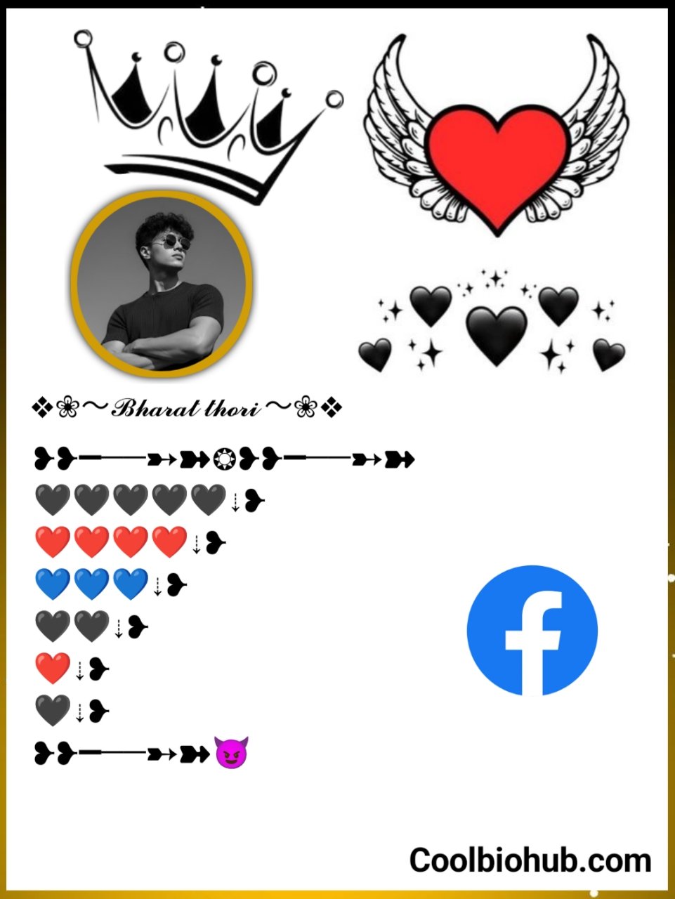 Facebook Bio Styles Vip