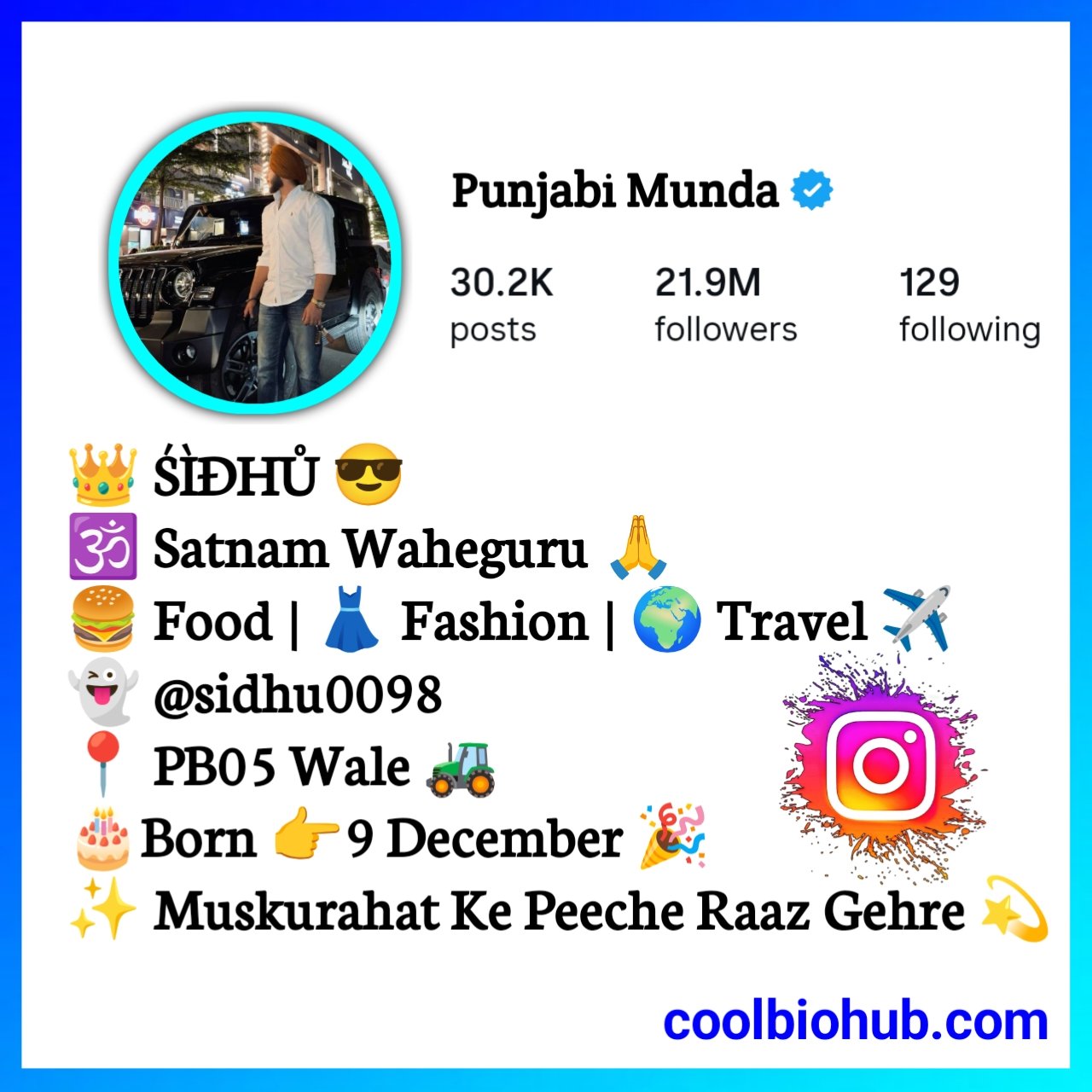 Instagram Bio In Punjabi For Boy Attitude