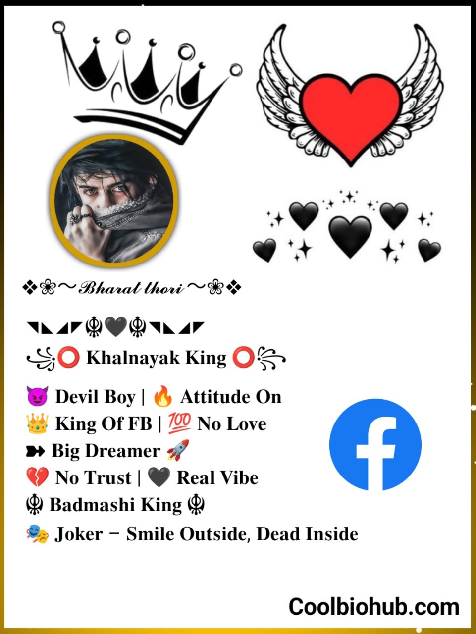 Facebook Bio Attitude